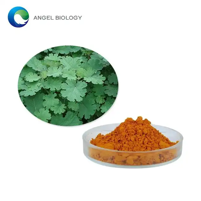 Macleaya Cordata Extract